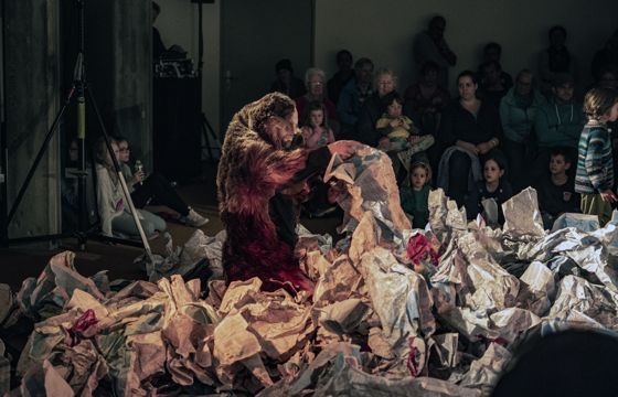 Der Bär tanzt Oleg Kaufmann Barbara Gasser TAMTAM Naturmuseum Solothurn Kulturnacht Solothurn 2019